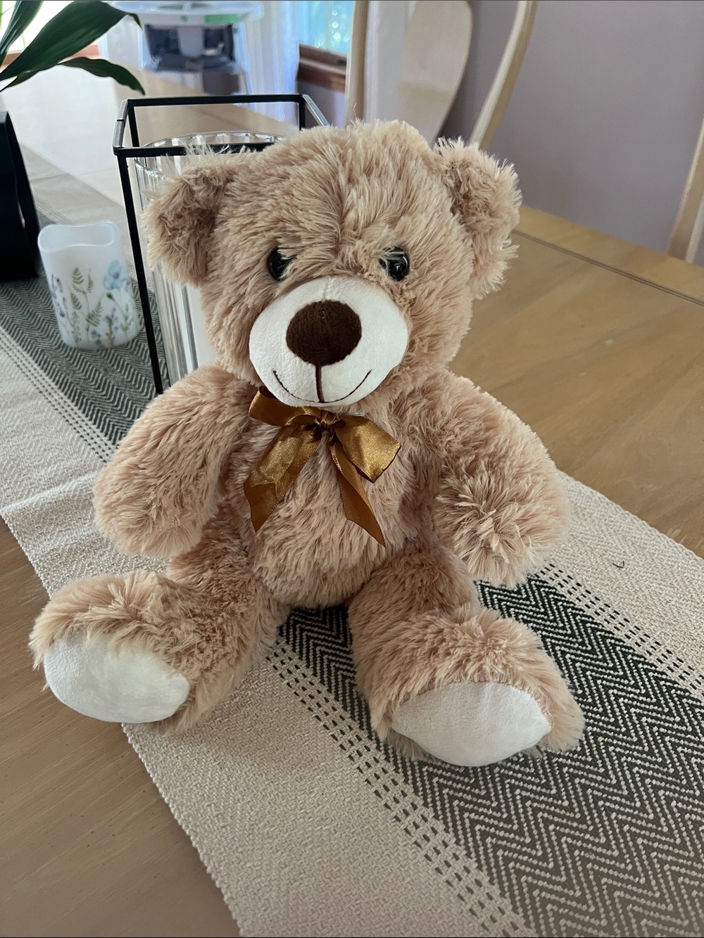 Teddy Bear NWT